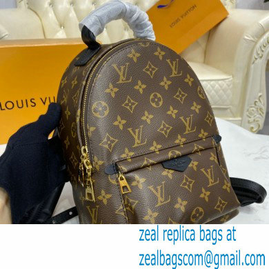 Louis Vuitton Monogram Canvas Palm Springs PM Backpack Bag M44871