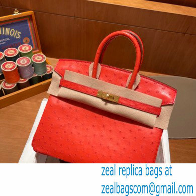 Hermes birkin 25 bag in ostrich leather Rouge Tomate handmade