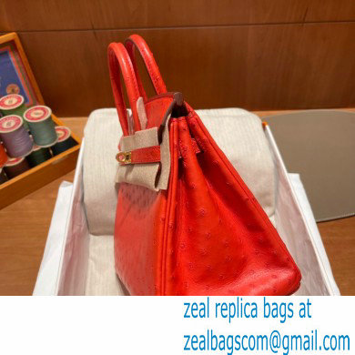 Hermes birkin 25 bag in ostrich leather Rouge Tomate handmade