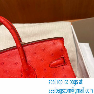 Hermes birkin 25 bag in ostrich leather Rouge Tomate handmade