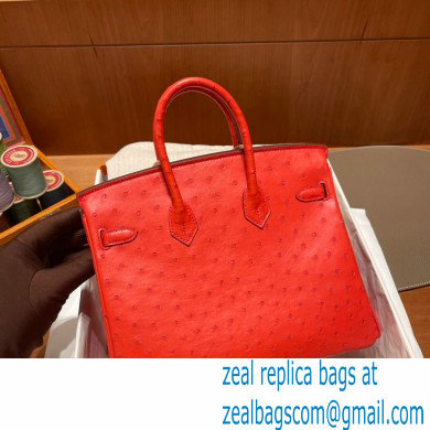 Hermes birkin 25 bag in ostrich leather Rouge Tomate handmade