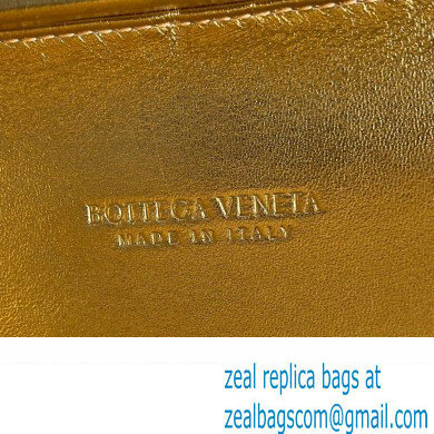 Bottega Veneta Knot Intreccio lamina leather minaudiere with leather sequins Bag Gold/Silver 2024