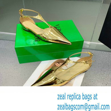 Bottega Veneta Rocket T-Bar Ballerina Flats Leather Gold 2024