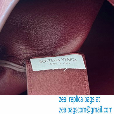 Bottega Veneta crocodile pattern leather Sardine Top handle bag barolo 2024