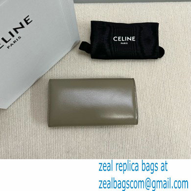 CELINE LARGE WALLET TRIOMPHE in Shiny calfskin GRAY 2024