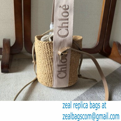 CHLOE Small Woody basket 01 2024