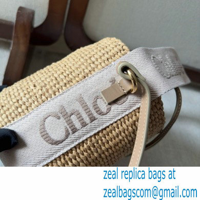 CHLOE Small Woody basket 01 2024