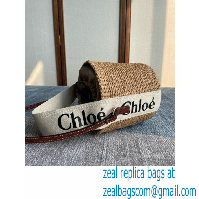 CHLOE Small Woody basket 02 2024