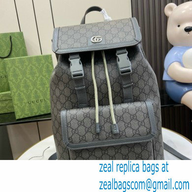 GUCCI Ophidia small GG backpack IN gray GG Supreme canvas 792114 2024