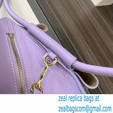 LOEWE Small Paseo bag in shiny nappa calfskin purple 2024