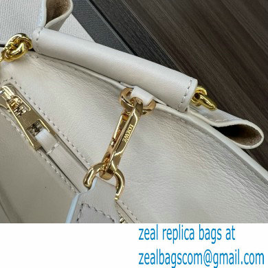 LOEWE Small Paseo bag in shiny nappa calfskin with chain white 2024